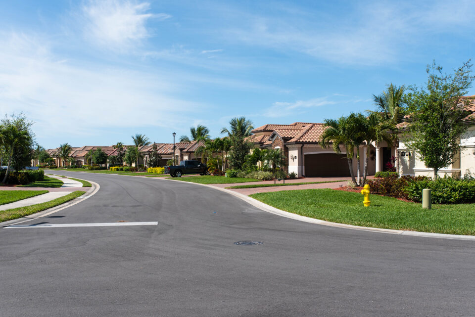 A quiet suburban street lined with family homes